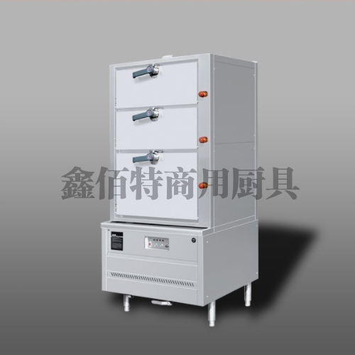 吳江燃氣環(huán)保三門蒸柜